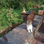 In Ruhiger Lage Am Waldrand By Interhome Апартаменты *