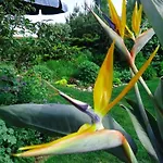 In Ruhiger Lage Am Waldrand By Interhome